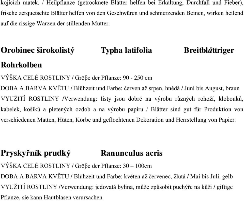 der stillenden Mütter.