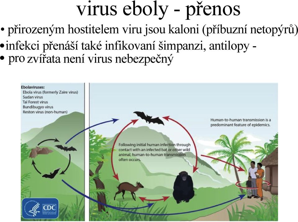 netopýrů) infekci přenáší také infikovaní