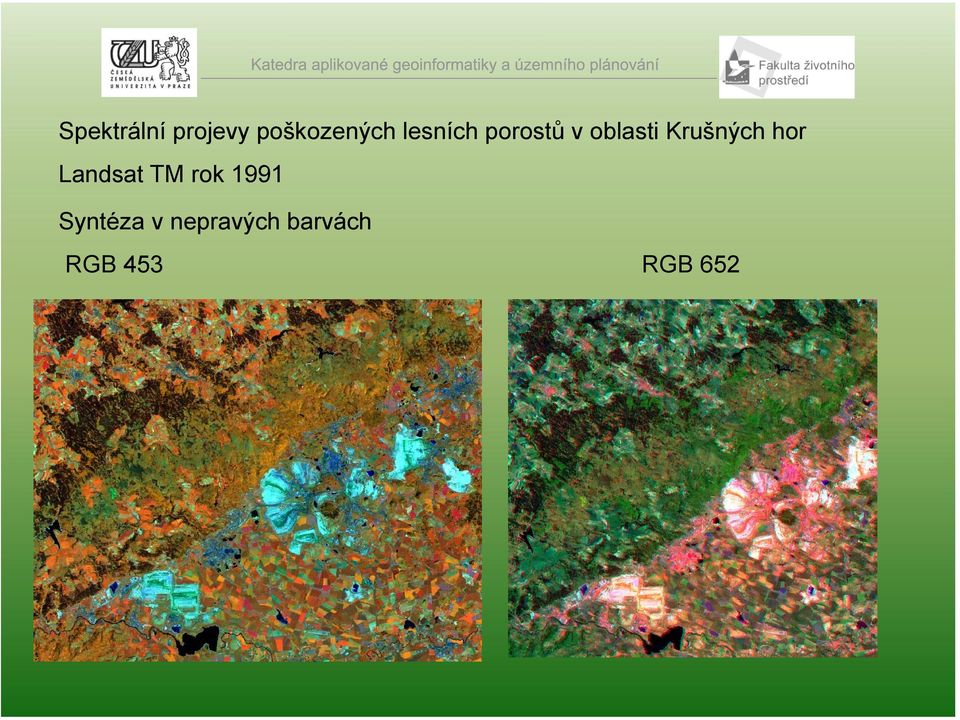 Krušných hor Landsat TM rok 1991