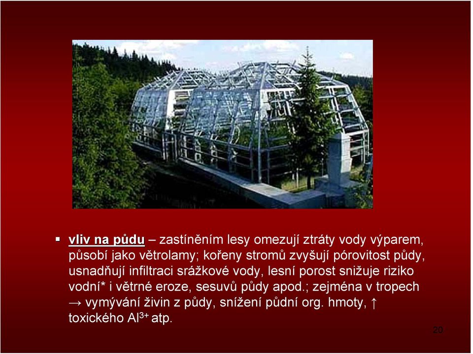 vody, lesní porost snižuje riziko vodní* i větrné eroze, sesuvů půdy apod.