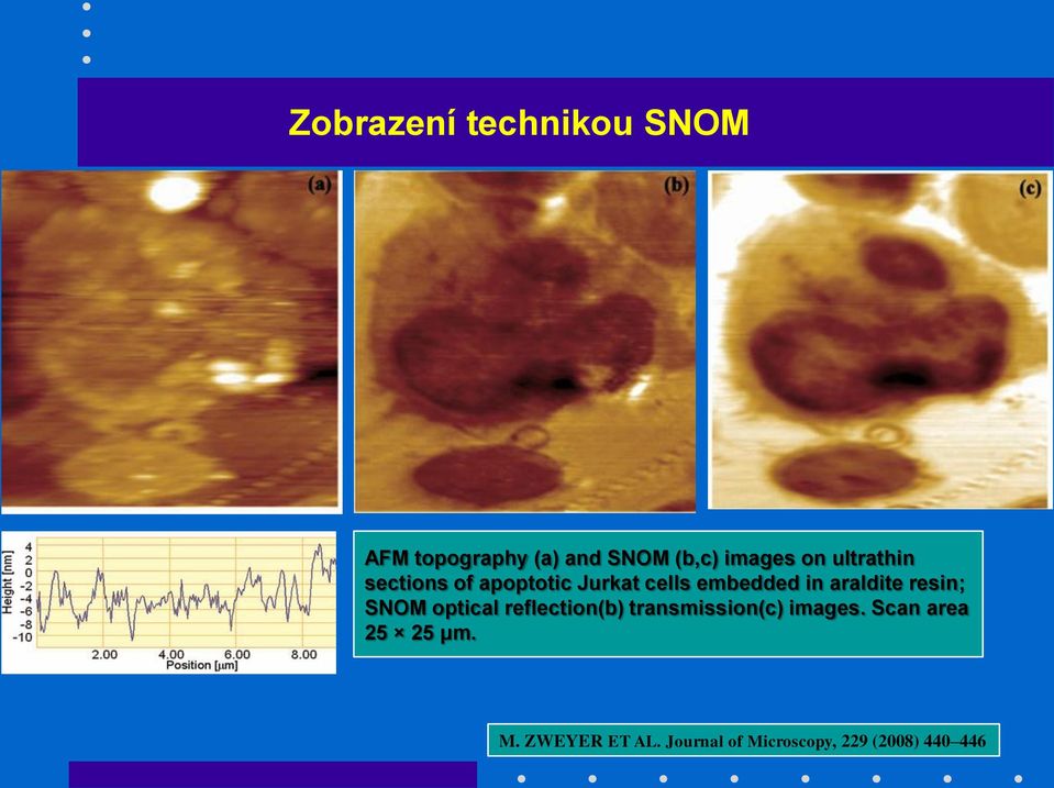 araldite resin; SNOM optical reflection(b) transmission(c) images.