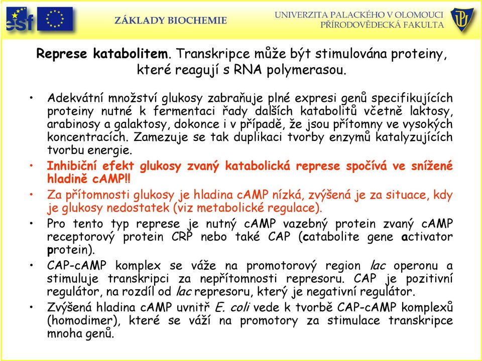 ve vysokých koncentracích. Zamezuje se tak duplikaci tvorby enzymů katalyzujících tvorbu energie. Inhibiční efekt glukosy zvaný katabolická represe spočívá ve snížené hladině camp!