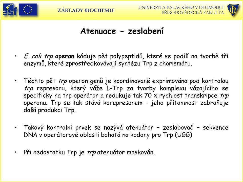 operátor a redukuje tak 70 x rychlost transkripce trp operonu. Trp se tak stává korepresorem - jeho přítomnost zabraňuje další produkci Trp.