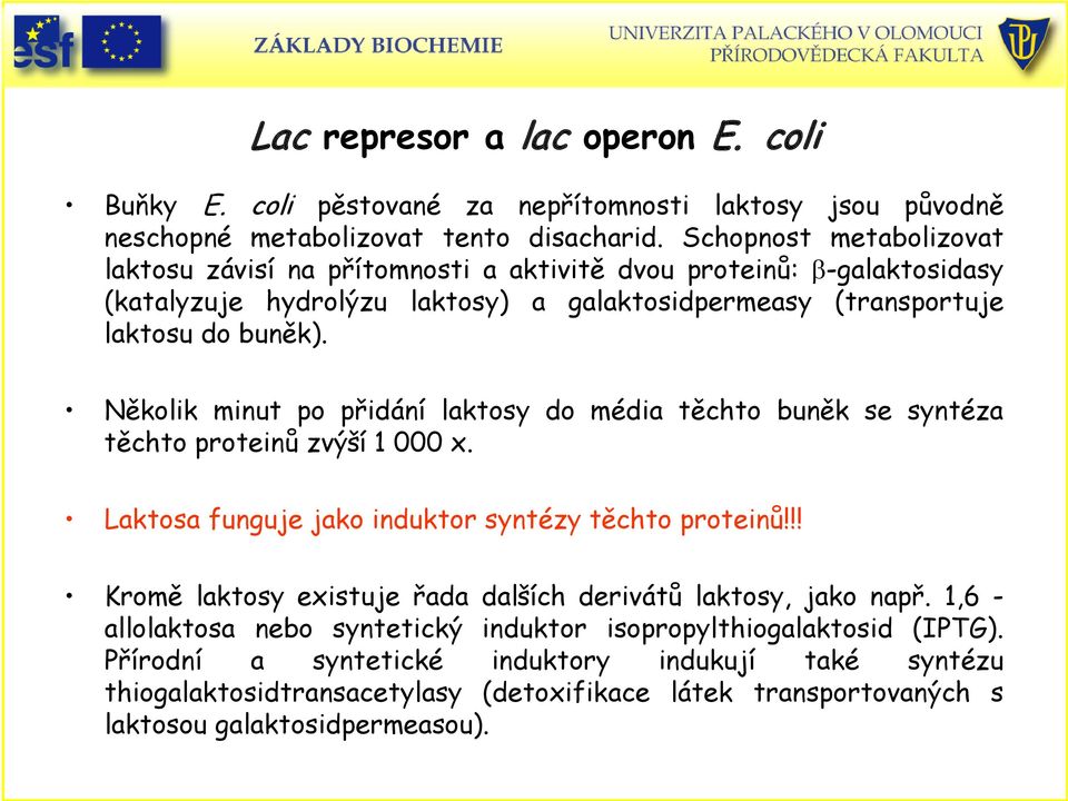 Několik minut po přidání laktosy do média těchto buněk se syntéza těchto proteinů zvýší 1 000 x. Laktosa funguje jako induktor syntézy těchto proteinů!