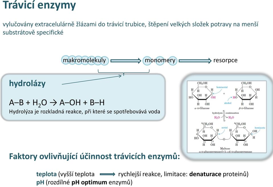 Hydrolýza je rozkladná reakce, při které se spotřebovává voda Faktory ovlivňující účinnost trávicích