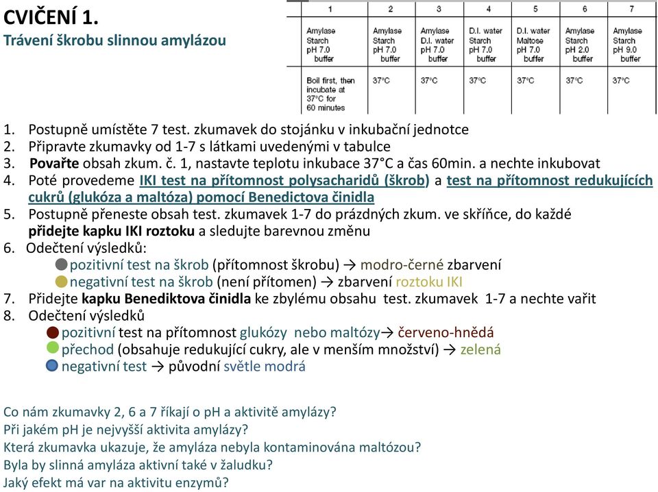 Poté provedeme IKI test na přítomnost polysacharidů (škrob) a test na přítomnost redukujících cukrů (glukóza a maltóza) pomocí Benedictova činidla 5. Postupně přeneste obsah test.