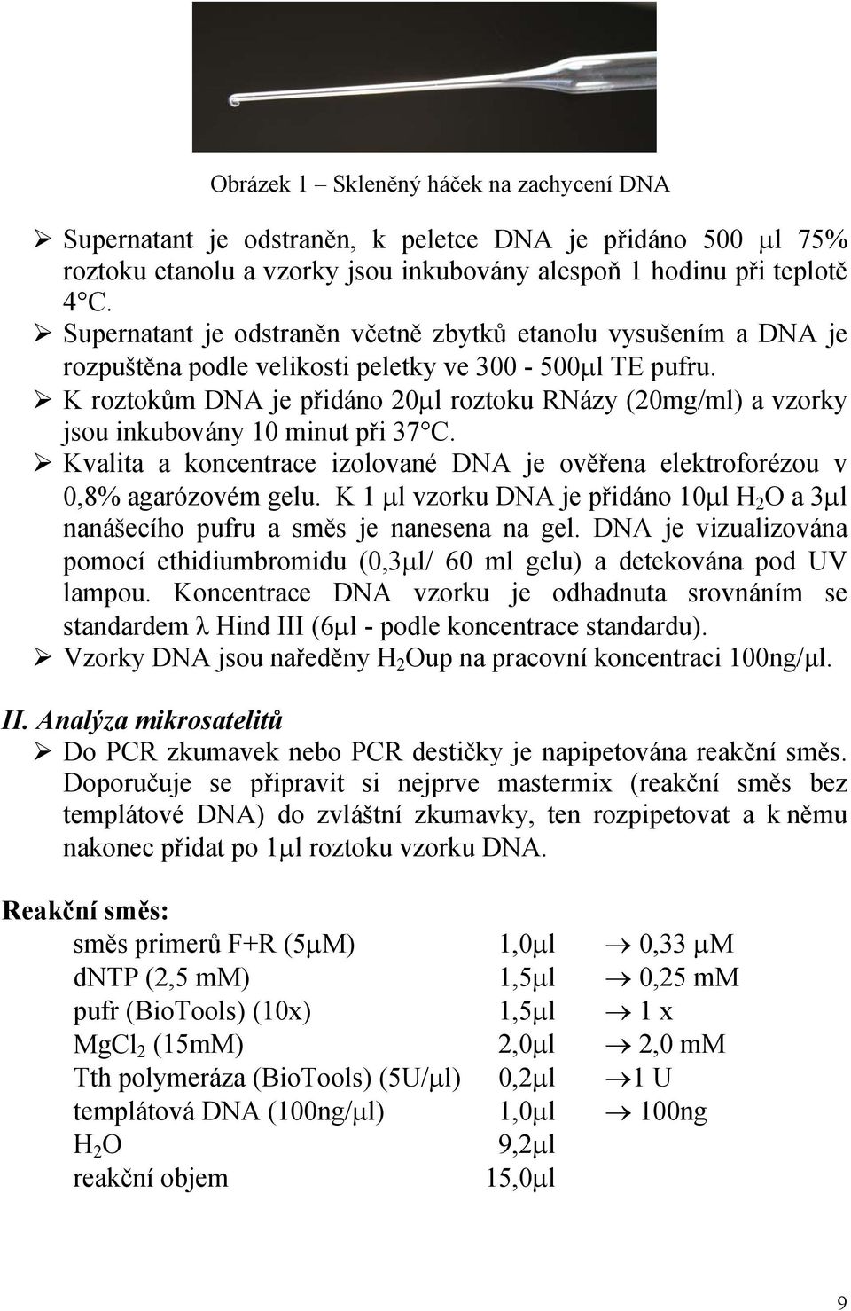 K roztokům DNA je přidáno 20 l roztoku RNázy (20mg/ml) a vzorky jsou inkubovány 10 minut při 37 C. Kvalita a koncentrace izolované DNA je ověřena elektroforézou v 0,8% agarózovém gelu.