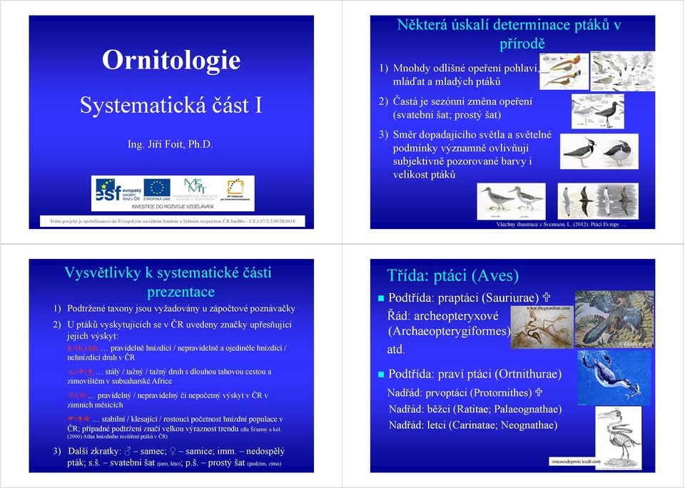 světelné podmínky významně ovlivňují subjektivně pozorované barvy i velikost ptáků Tento projekt je spolufinancován Evropským sociálním fondem a Státním rozpočtem ČR InoBio CZ.1.07/2.2.00/28.