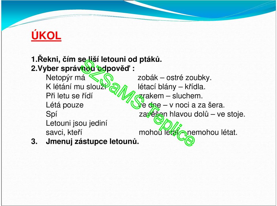 K létání mu slouží létací blány křídla. Při letu se řídí zrakem sluchem.