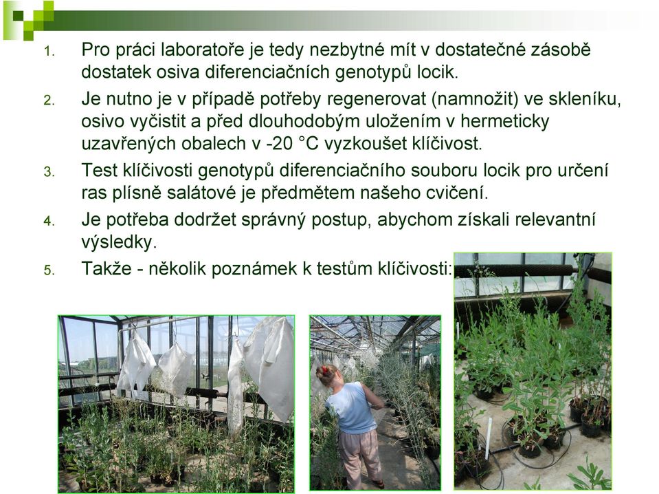 obalech v -20 C vyzkoušet klíčivost. 3.