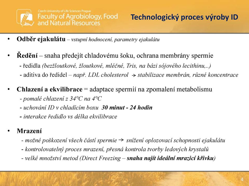 LDL cholesterol stabilizace membrán, různé koncentrace Chlazení a ekvilibrace = adaptace spermií na zpomalení metabolismu - pomalé chlazení z 34 C na 4 C - uchování ID v chladícím boxu