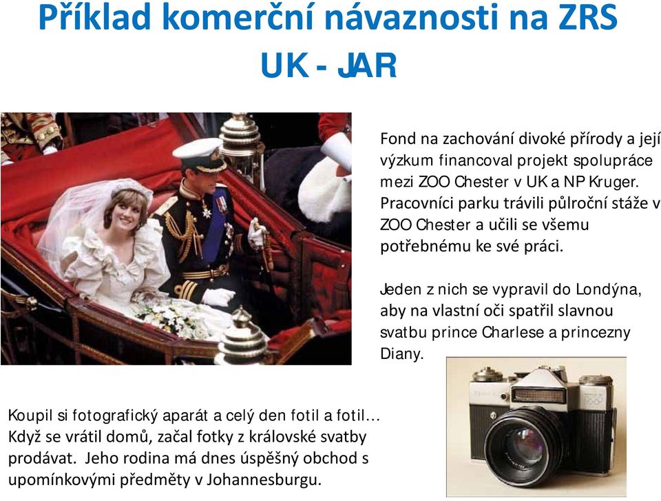 Jeden z nich se vypravil do Londýna, aby na vlastní oči spatřil slavnou svatbu prince Charlese a princezny Diany.