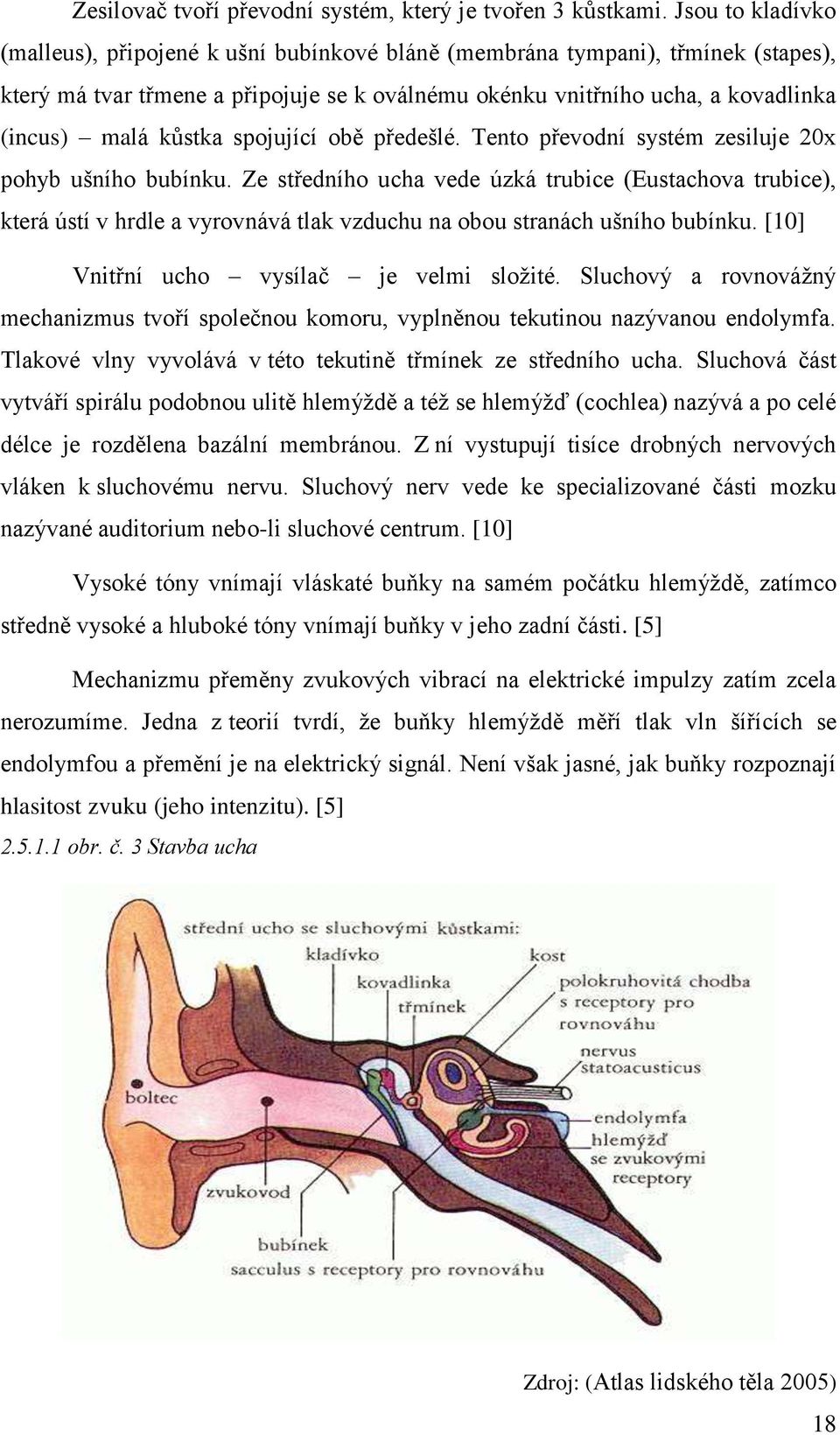 kůstka spojující obě předešlé. Tento převodní systém zesiluje 20x pohyb ušního bubínku.