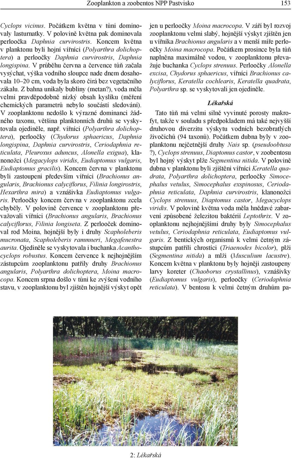 V průběhu června a července tůň začala vysýchat, výška vodního sloupce nade dnem dosahovala 10 20 cm, voda byla skoro čirá bez vegetačního zákalu. Z bahna unikaly bubliny (metan?