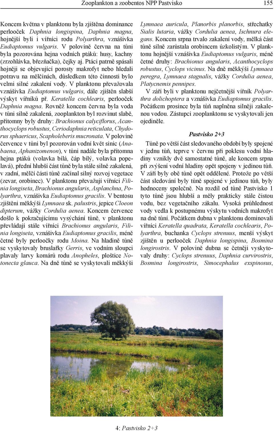 Ptáci patrně spásali hojněji se objevující porosty makrofyt nebo hledali potravu na mělčinách, důsledkem této činnosti bylo velmi silné zakalení vody.