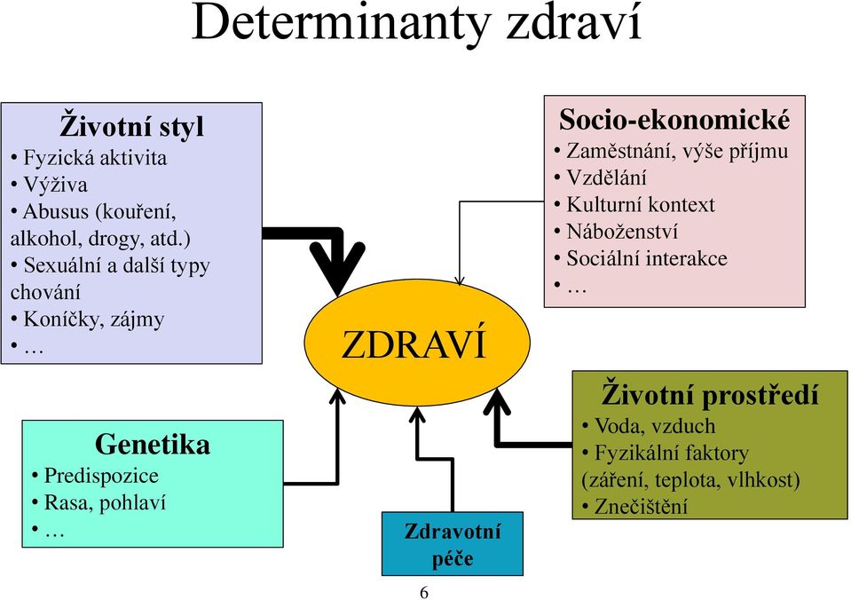 Zdravotní péče 6 Socio-ekonomické Zaměstnání, výše příjmu Vzdělání Kulturní kontext Náboženství