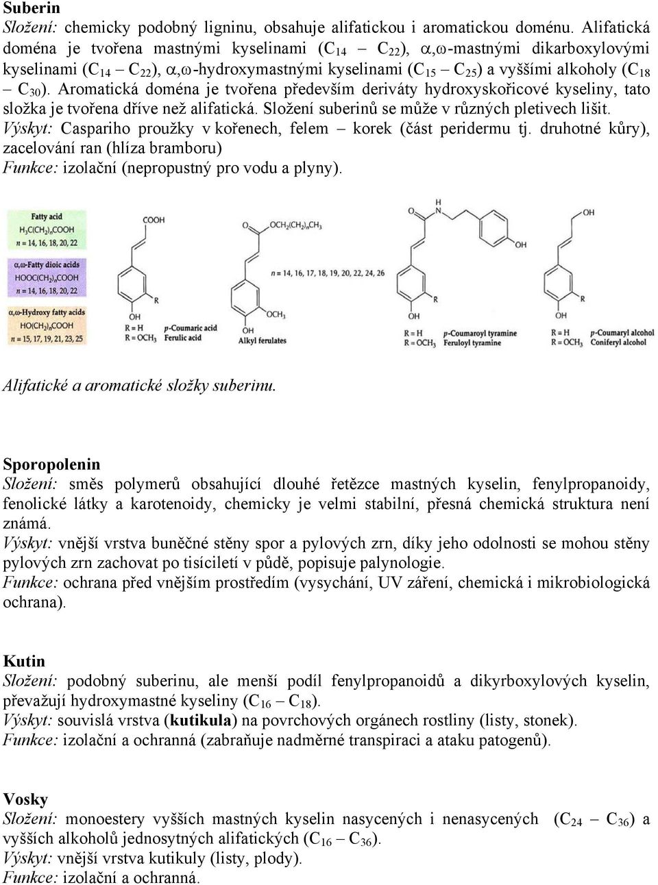 Aromatická doména je tvořena především deriváty hydroxyskořicové kyseliny, tato složka je tvořena dříve než alifatická. Složení suberinů se může v různých pletivech lišit.