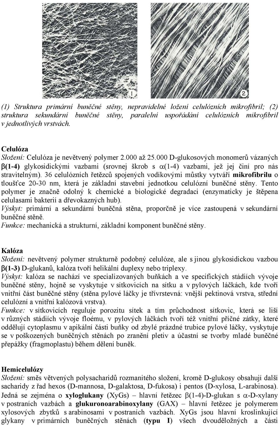 36 celulózních řetězců spojených vodíkovými můstky vytváří mikrofibrilu o tloušťce 20-30 nm, která je základní stavební jednotkou celulózní buněčné stěny.