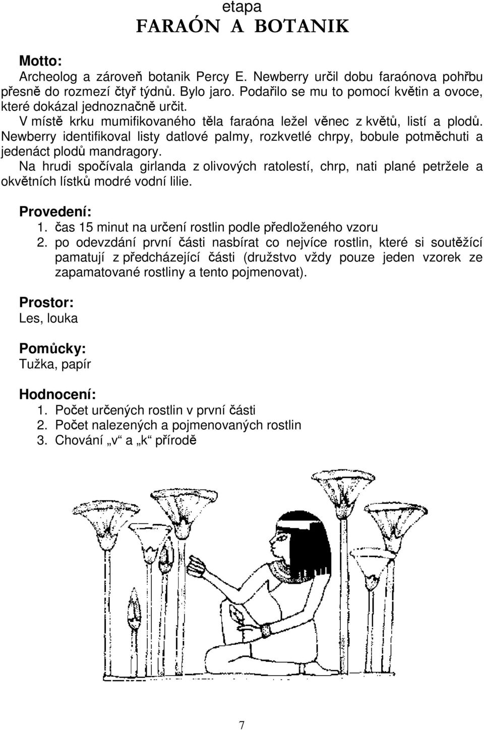 Newberry identifikoval listy datlové palmy, rozkvetlé chrpy, bobule potměchuti a jedenáct plodů mandragory.