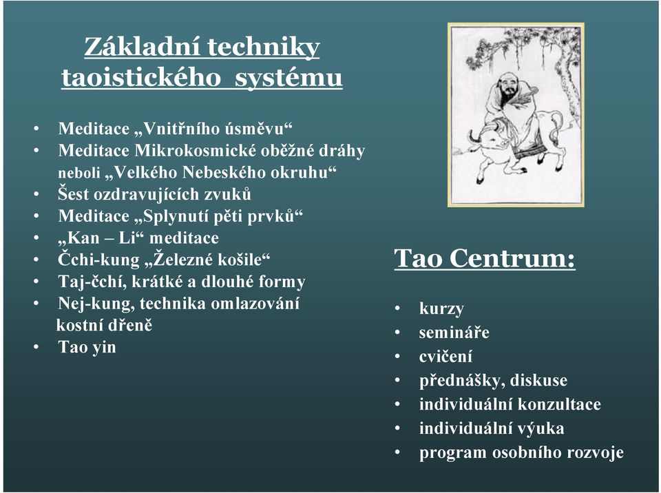 Železné košile Taj-čchí, krátké a dlouhé formy Nej-kung, technika omlazování kostní dřeně Tao yin Tao