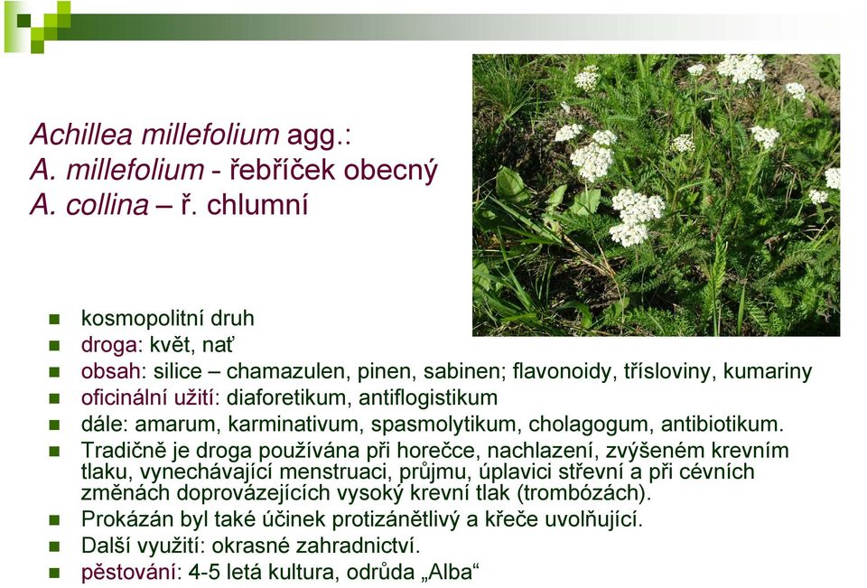 antiflogistikum dále: amarum, karminativum, spasmolytikum, cholagogum, antibiotikum.
