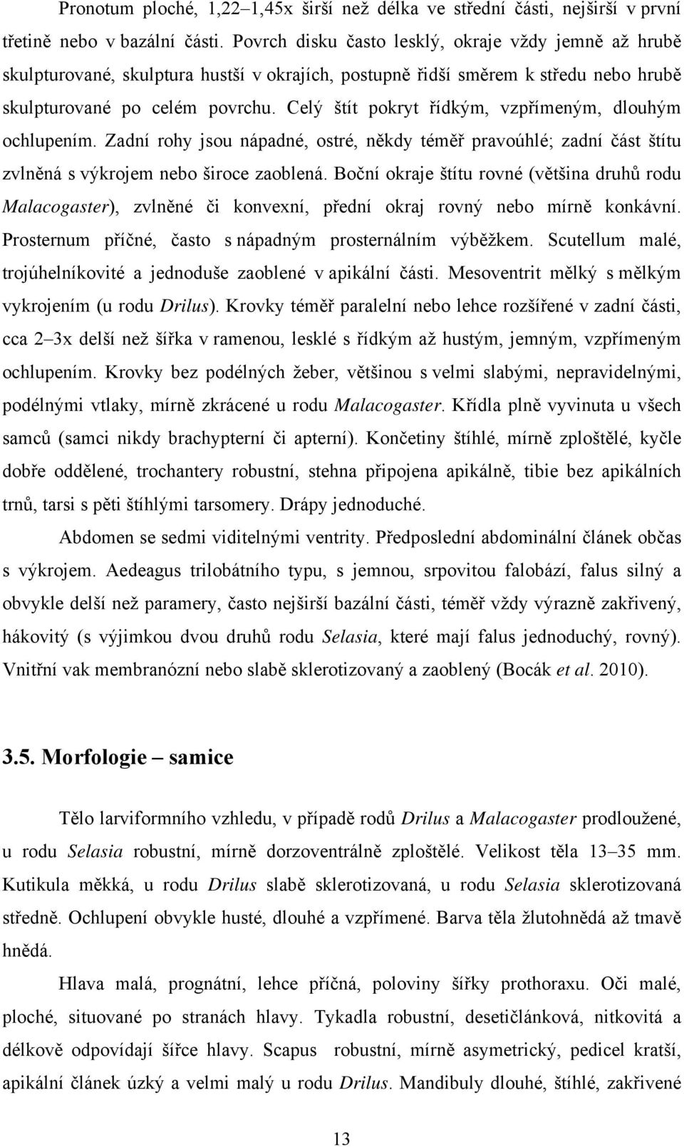 Celý štít pokryt řídkým, vzpřímeným, dlouhým ochlupením. Zadní rohy jsou nápadné, ostré, někdy téměř pravoúhlé; zadní část štítu zvlněná s výkrojem nebo široce zaoblená.