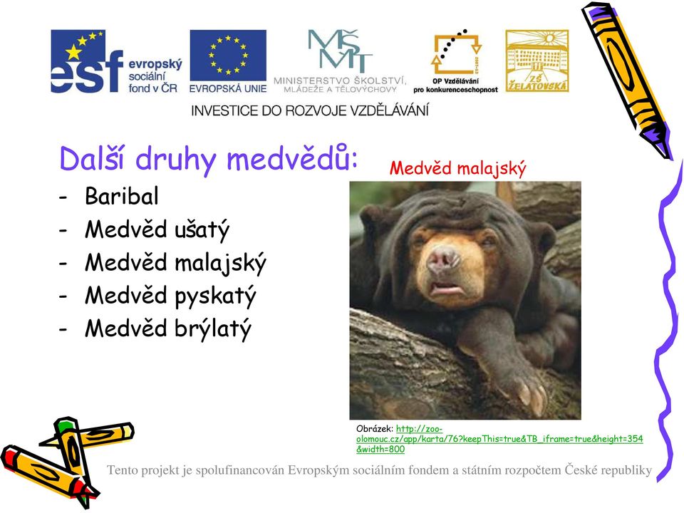 Medvěd malajský Obrázek: http://zooolomouc.