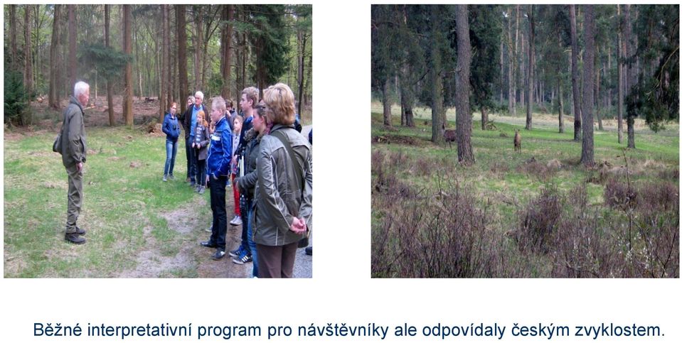 program pro