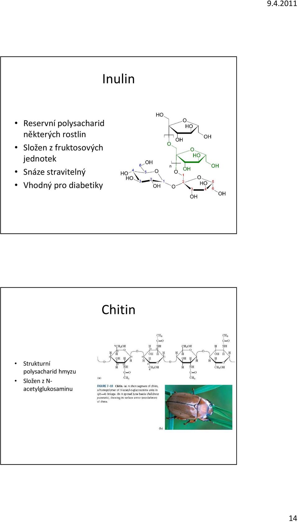 stravitelný Vhodný pro diabetiky Chitin