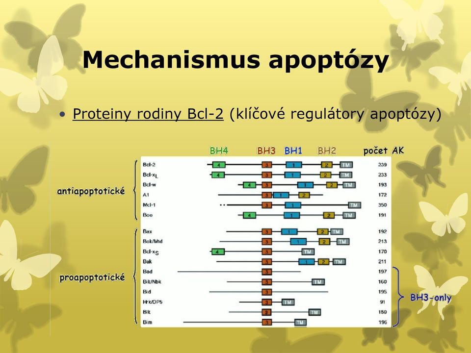 rodiny Bcl-2