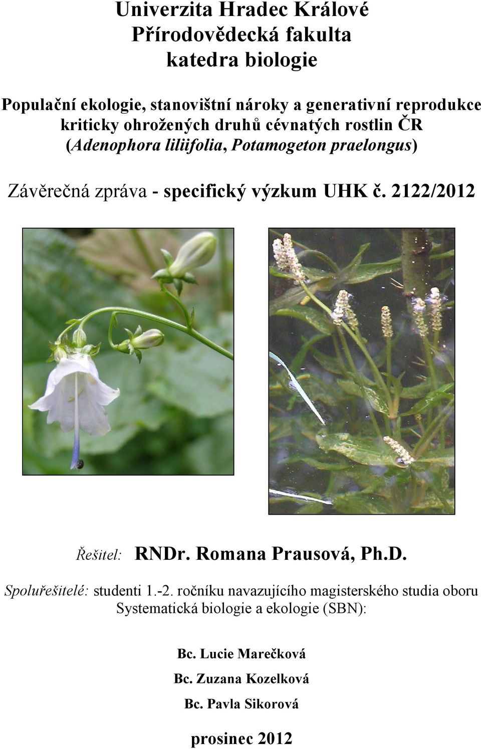 specifický výzkum UHK č. 2122/2012 Řešitel: RNDr. Romana Prausová, Ph.D. Spoluřešitelé: studenti 1.-2.