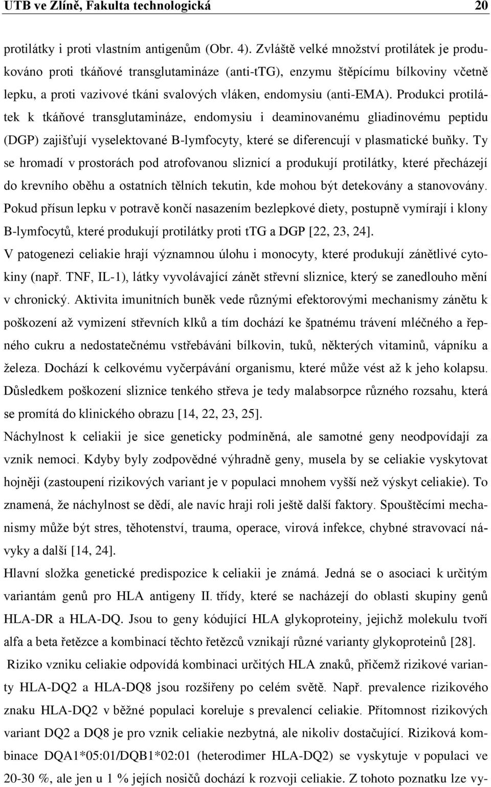 Produkci protilátek k tkáňové transglutamináze, endomysiu i deaminovanému gliadinovému peptidu (DGP) zajišťují vyselektované B-lymfocyty, které se diferencují v plasmatické buňky.