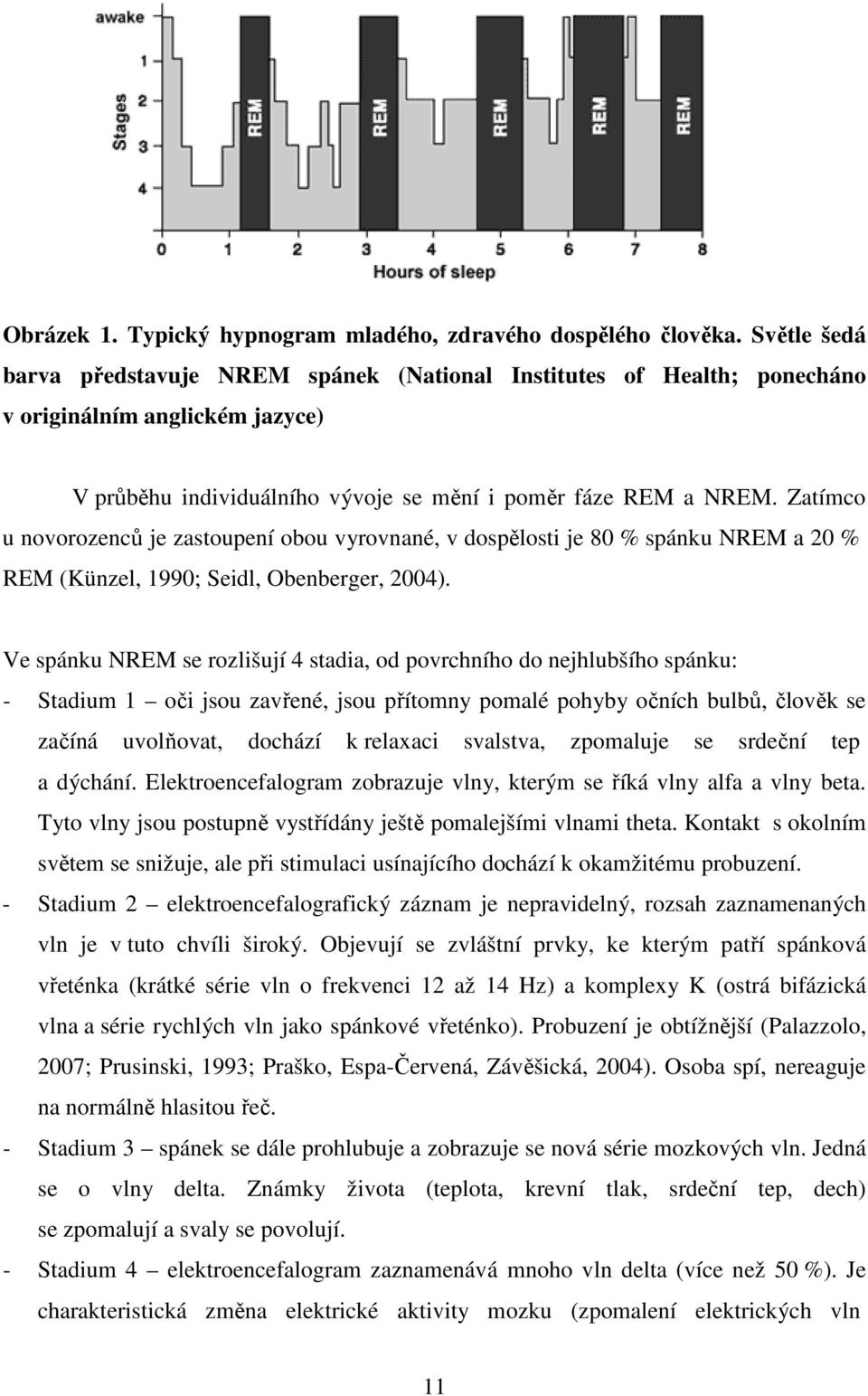 Zatímco u novorozenců je zastoupení obou vyrovnané, v dospělosti je 80 % spánku NREM a 20 % REM (Künzel, 1990; Seidl, Obenberger, 2004).