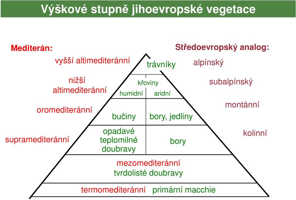 supramediteránní křoviny bučiny bory, jedliny opadavé teplomilné doubravy humidní