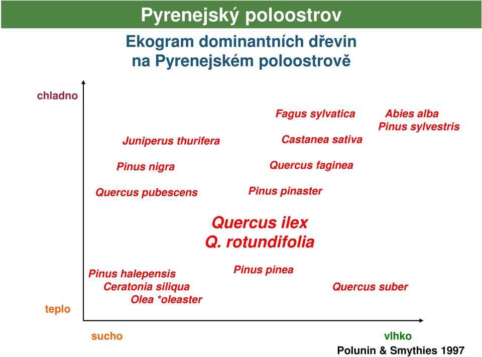 sylvestris Castanea sativa Quercus faginea Pinus pinaster Quercus ilex Q.