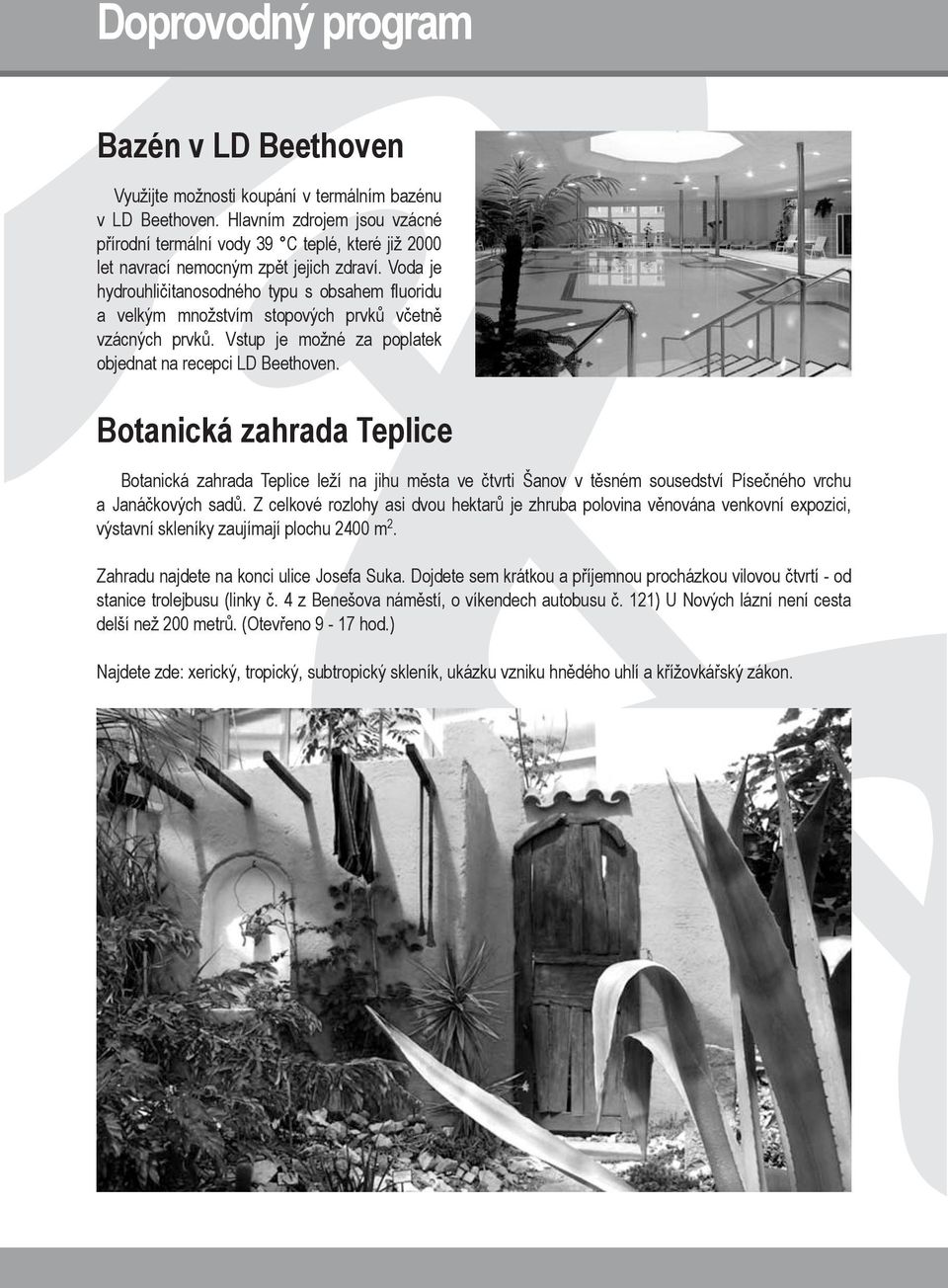 Voda je hydrouhličitanosodného typu s obsahem fluoridu a velkým množstvím stopových prvků včetně vzácných prvků. Vstup je možné za poplatek objednat na recepci LD Beethoven.
