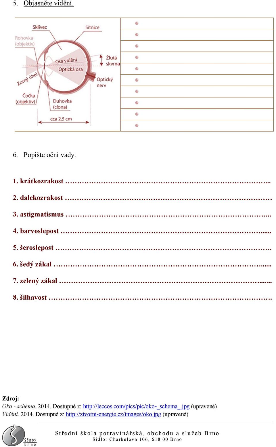 šilhavost. Zdroj: Oko - schéma. 2014. Dostupné z: http://leccos.