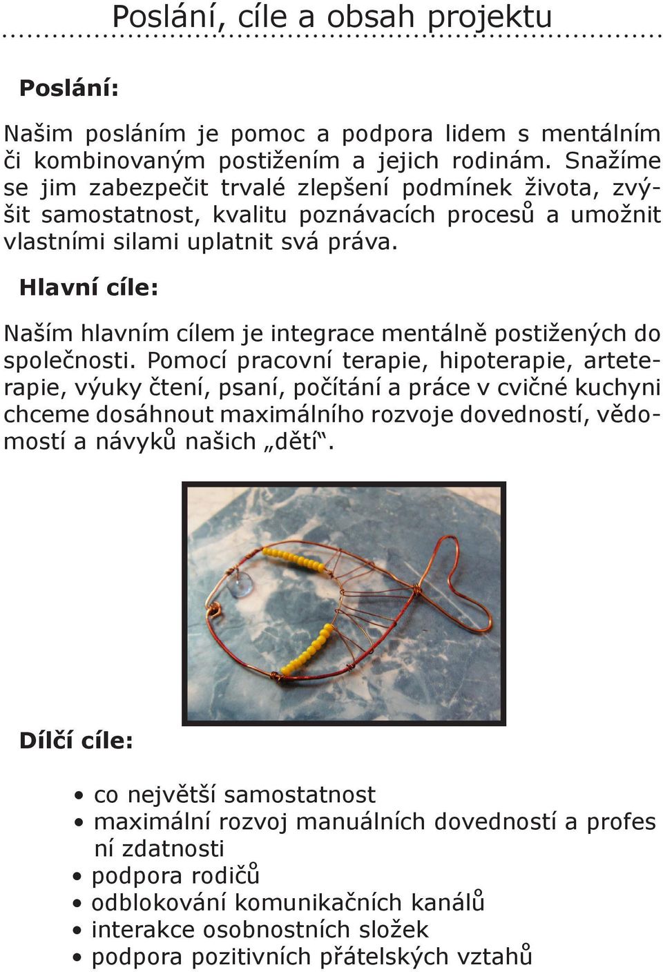 Hlavní cíle: Naším hlavním cílem je integrace mentálně postižených do společnosti.