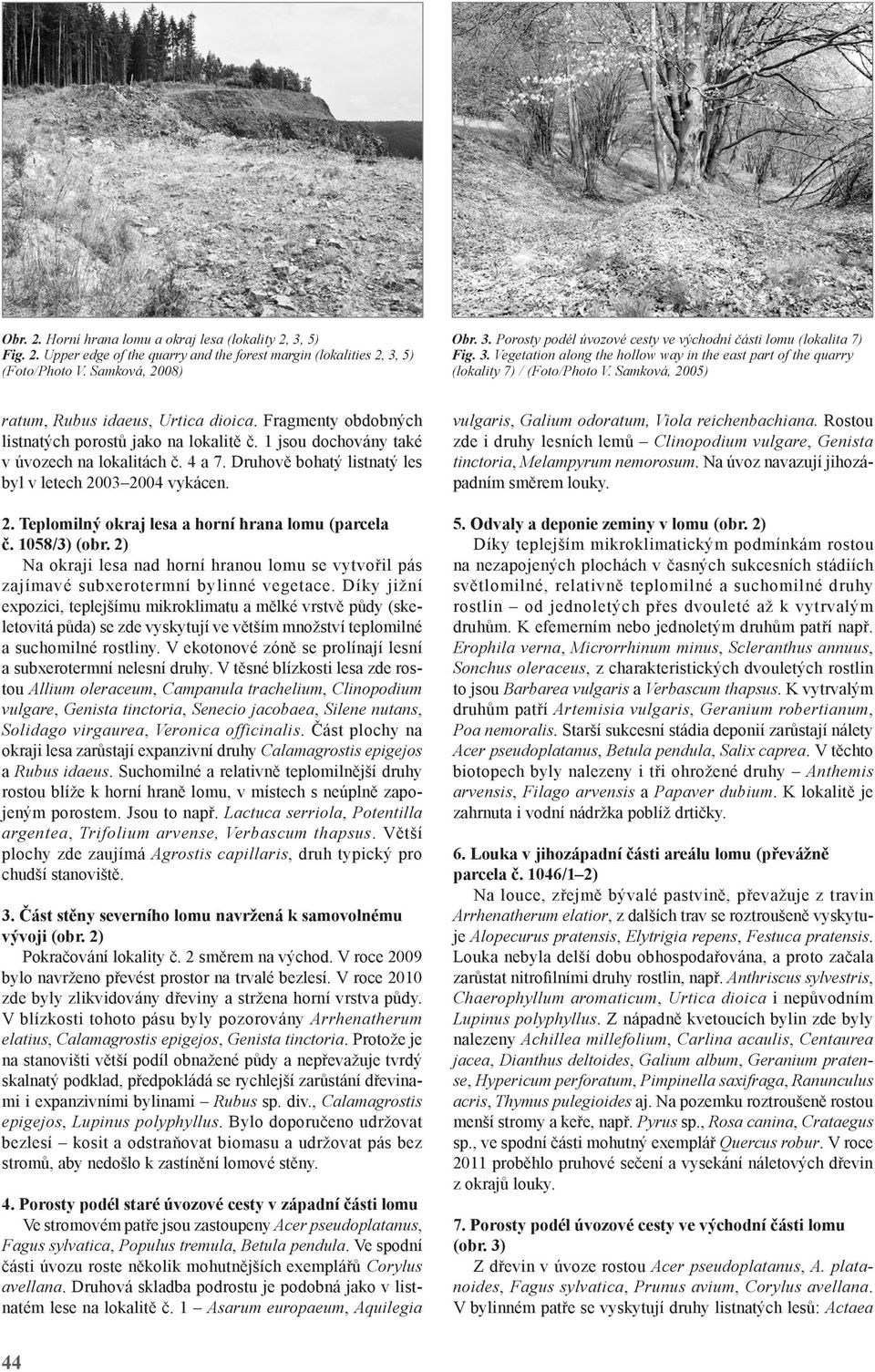 Fragmenty obdobných listnatých porostů jako na lokalitě č. 1 jsou dochovány také v úvozech na lokalitách č. 4 a 7. Druhově bohatý listnatý les byl v letech 20