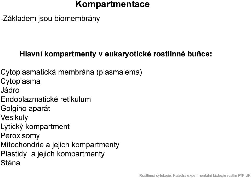 Cytoplasma Jádro Endoplazmatické retikulum Golgiho aparát Vesikuly Lytický