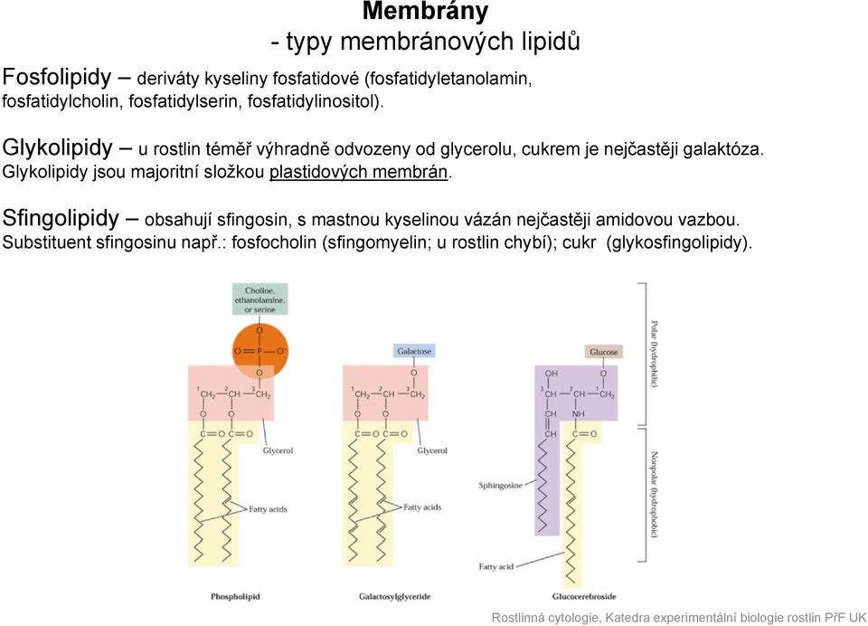 Glykolipidy u rostlin téměř výhradně odvozeny od glycerolu, cukrem je nejčastěji galaktóza.