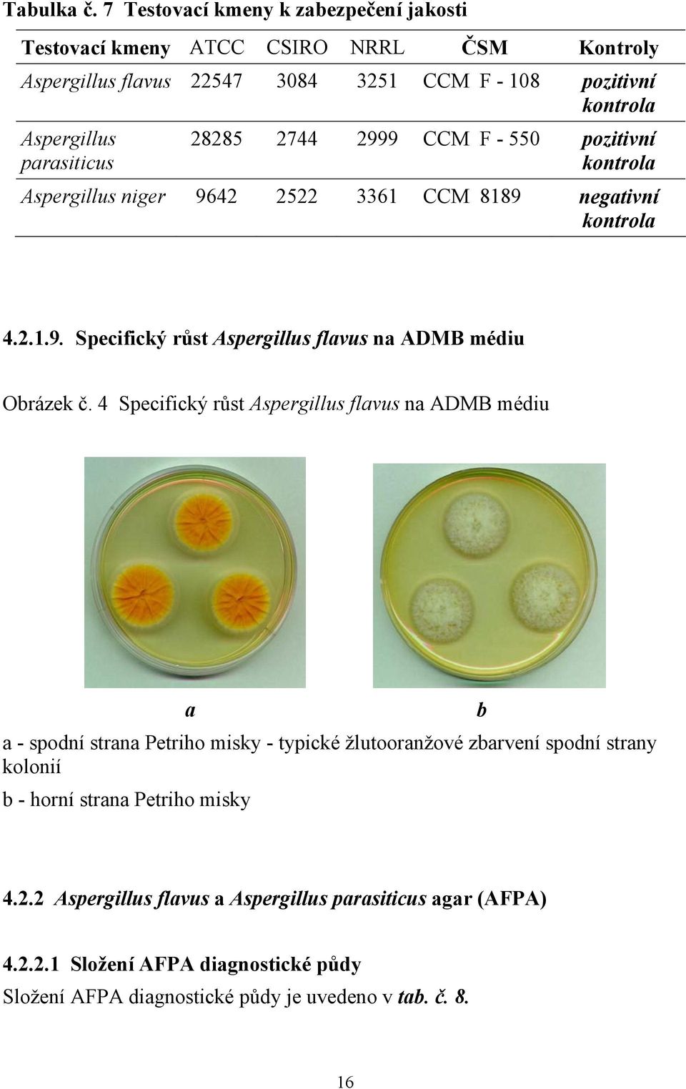 parasiticus 28285 2744 2999 CCM F - 550 pozitivní kontrola Aspergillus niger 9642 2522 3361 CCM 8189 negativní kontrola 4.2.1.9. Specifický růst Aspergillus flavus na ADMB médiu Obrázek č.