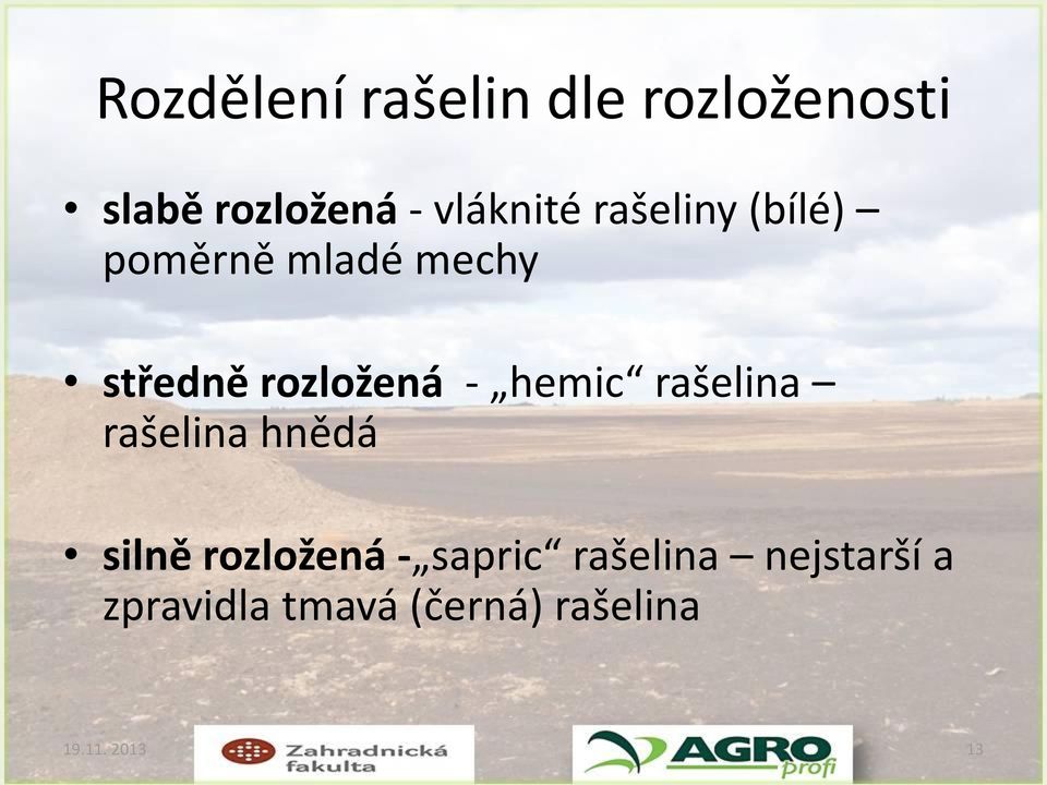 rozložená - hemic rašelina rašelina hnědá silně rozložená