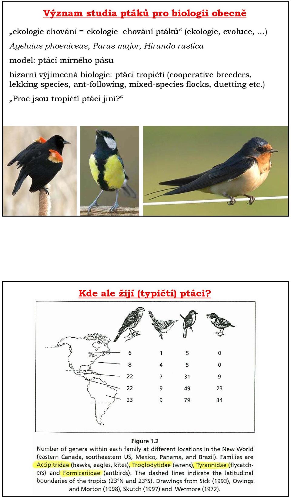 bizarní výjimečná biologie: ptáci tropičtí (cooperative breeders, lekking species,