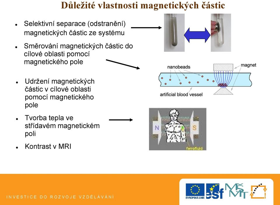 oblasti pomocí magnetického pole Udržení magnetických částic v cílové
