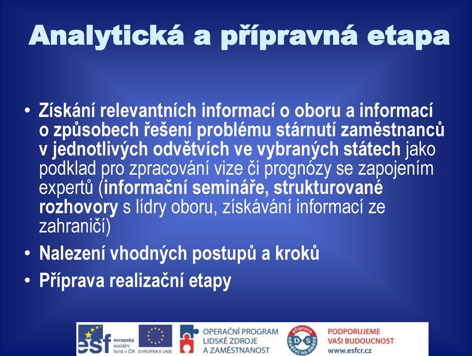 zpracování vize či prognózy se zapojením expertů (informační semináře, strukturované rozhovory s