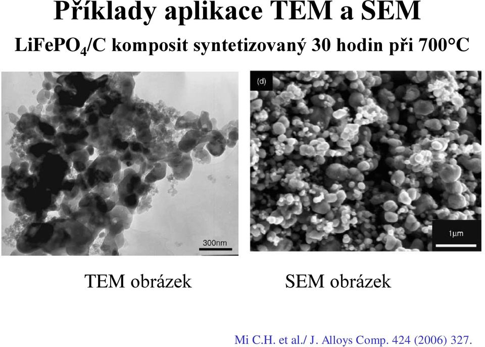 700 C TEM obrázek SEM obrázek Mi C.H.