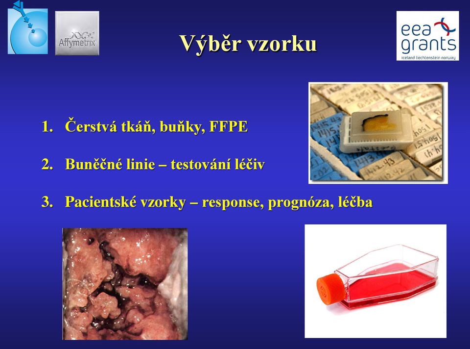 Buněčné linie testování léčiv