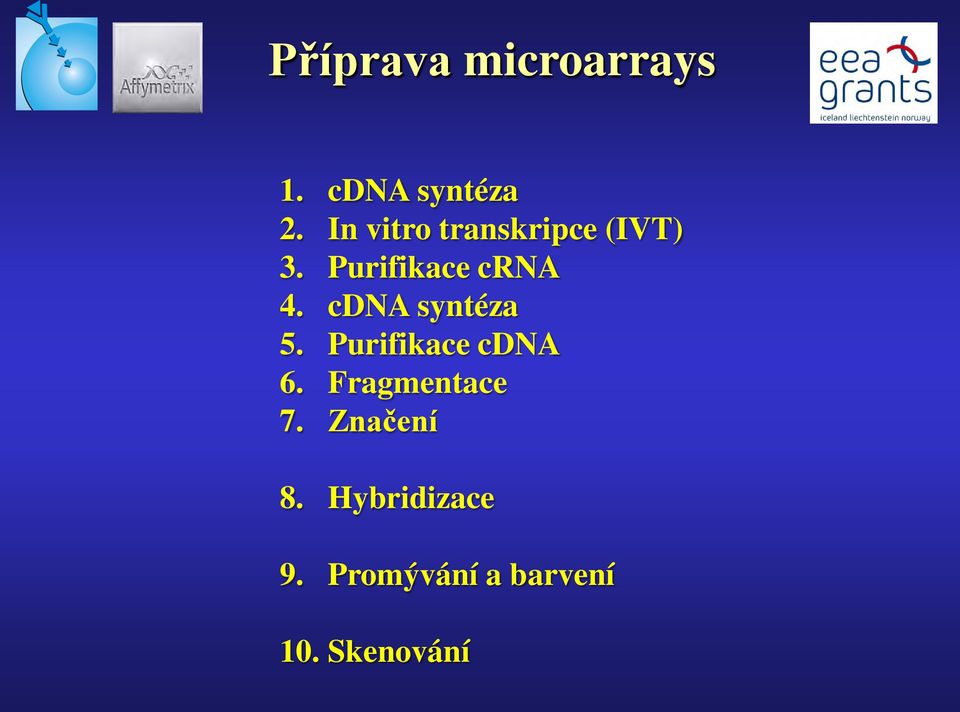 cdna syntéza 5. Purifikace cdna 6. Fragmentace 7.