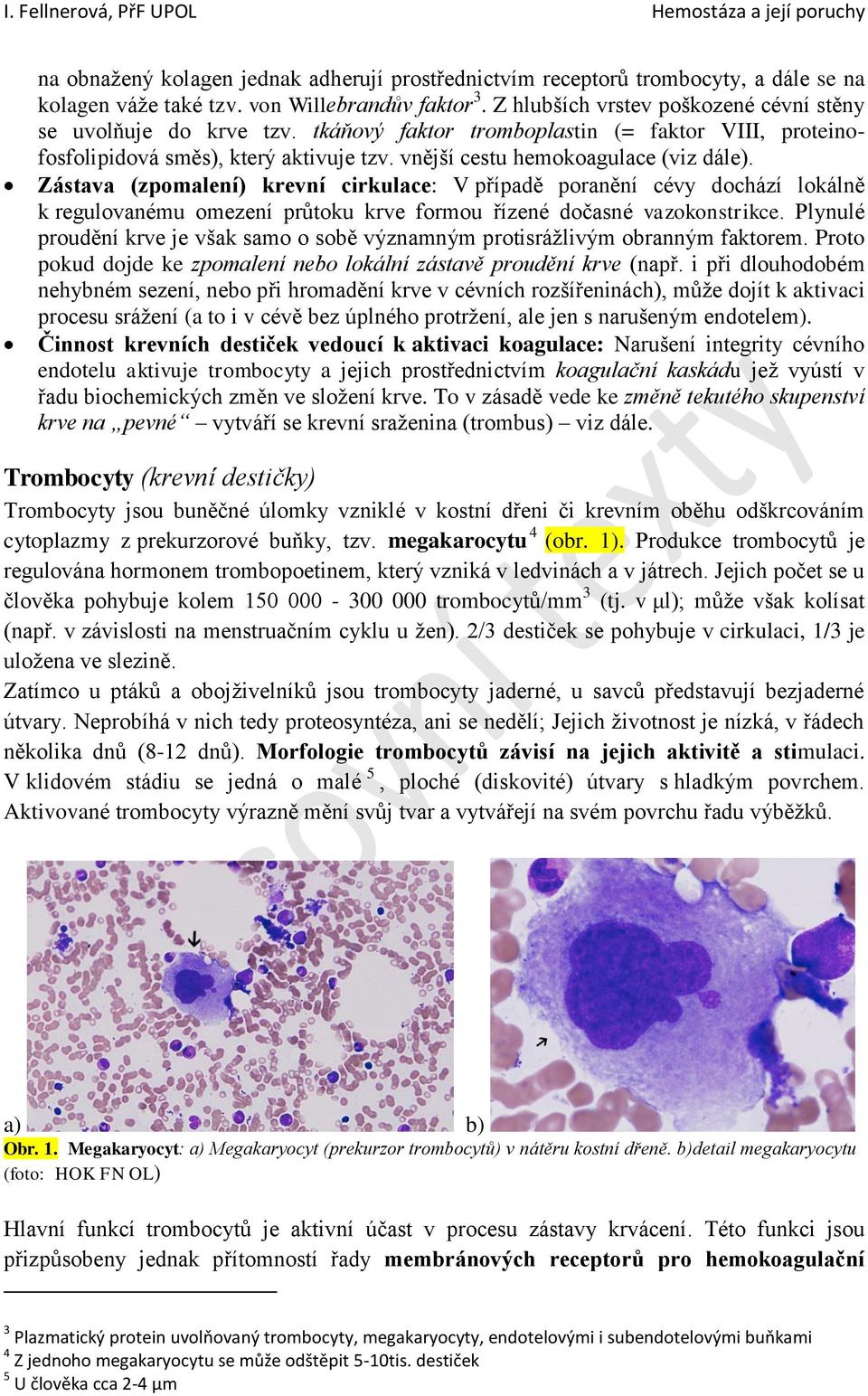 Zástava (zpomalení) krevní cirkulace: V případě poranění cévy dochází lokálně k regulovanému omezení průtoku krve formou řízené dočasné vazokonstrikce.